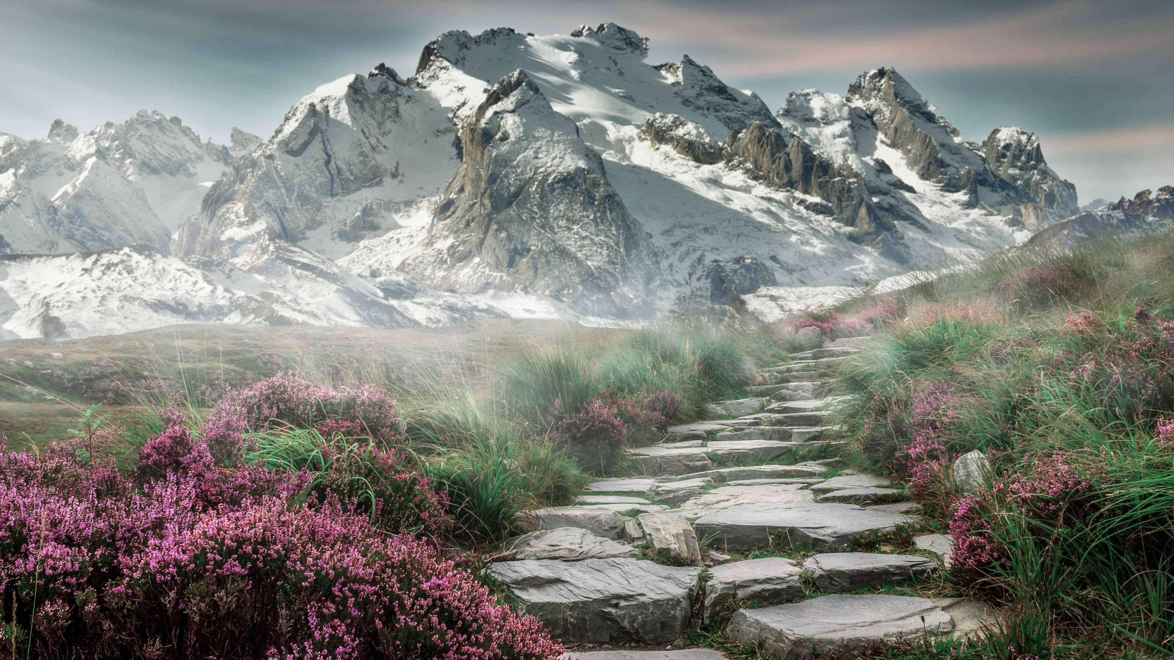 v7.2.5 完整版，2026年2月25日，一个被代码照亮的未来坐标